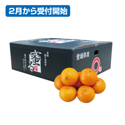 No.30 清見タンゴール　蜜る特秀 約5kg（3L~L）