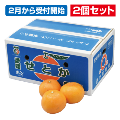 No.25 せとか（露地）良品（お買得）約5kg（3L~L）【2個セット】