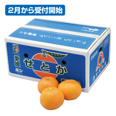No.24 せとか（露地）良品（お買得）約5kg（3L~L）