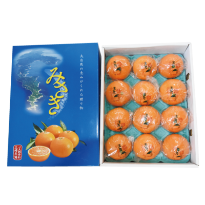 No.35 三崎共選貯蔵清見タンゴール化粧箱 約2.5㎏（2Ｌ12玉 又はＬ15玉）（チルド発送）