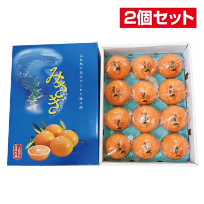 No.36 三崎共選貯蔵清見タンゴール化粧箱 約2.5㎏（2Ｌ12玉 又はＬ15玉）（チルド発送）【2個セット】