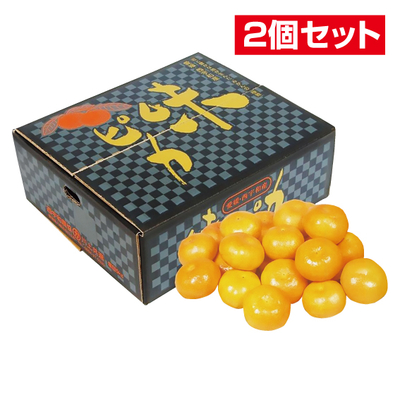 No.17 【2個セット】川上共選 特秀みかん味ピカ 約5kg（L~S）