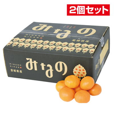 No.19 【2個セット】みなの共選 特秀みかんみなの 約5kg（L~S）