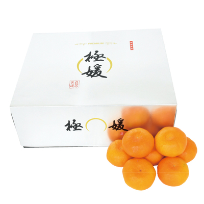 No.20 みなの共選 プレミアム極媛 秀品 約5kg（L~S）