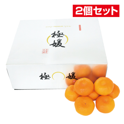 No.21 【2個セット】みなの共選 プレミアム極媛 秀品 約5kg（L~S）