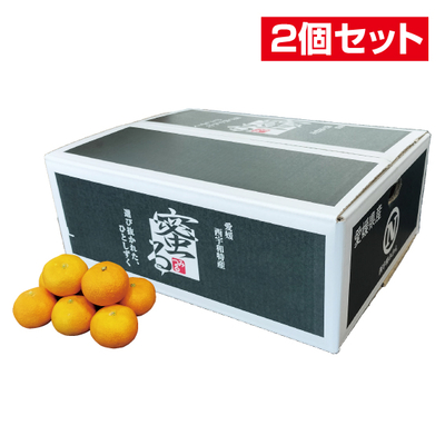 No.25 【2個セット】みつる共選 特秀みかん蜜る 約4kg（L~S）