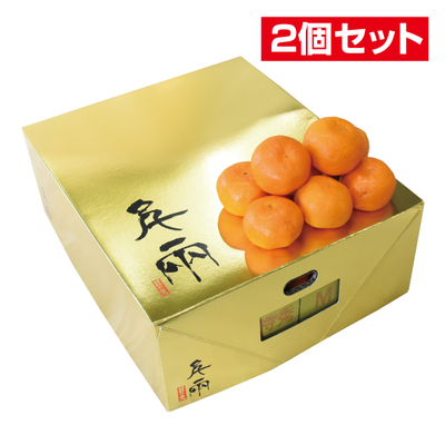 No.29 【2個セット】日の丸共選 特秀みかん 日の丸ゴールド 約5kg（L~S）