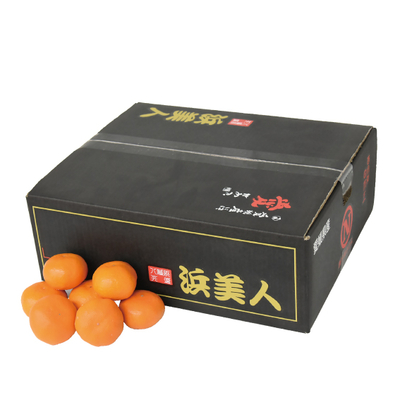 No.38 八幡浜共選 浜美人 秀品 約5kg（L~S）