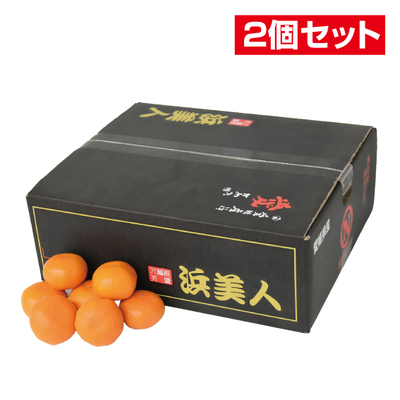 No.39 【2個セット】八幡浜共選 浜美人 秀品 約5kg（L~S）