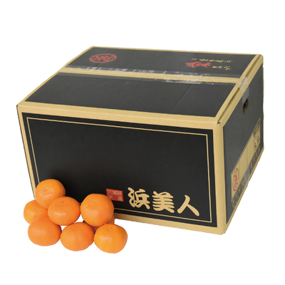 No.40 八幡浜共選 浜美人 秀品 約10kg（L~S）