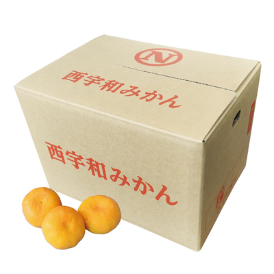 No.42 八幡浜共選 八幡浜温州みかん 良品 約10kg（L~S）