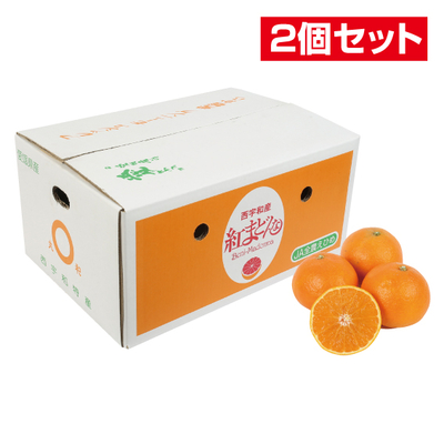 No.48 【2個セット】紅まどんな 良品（家庭用） 約5kg（4L~L）
