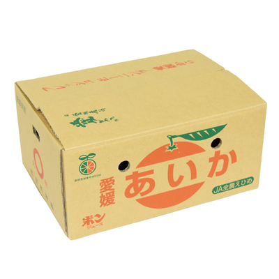 No.49 あいか（愛媛果試第28号）（家庭用） 約5kg（4L~L）
