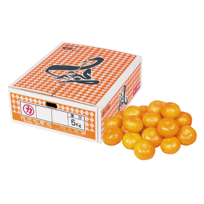 No.60 川上共選 風（家庭用） 約5kg（L~S）