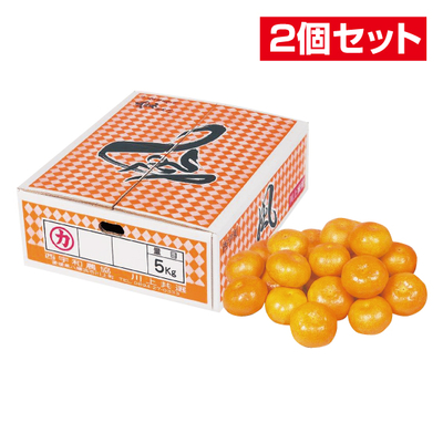 No.61 【2個セット】川上共選 風（家庭用） 約5kg（L~S）