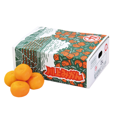 No.100 川上共選 温州みかん 2L21玉【WEB限定商品】