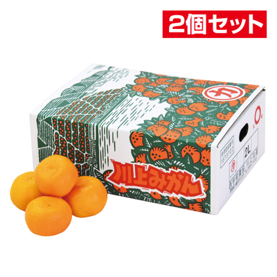 No.101 【2個セット】川上共選 温州みかん 2L21玉【WEB限定商品】