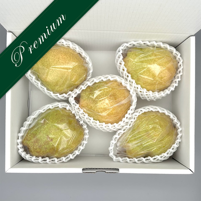 PYS1 プレミアム シルバーベル 大玉 約3kg 4～6個