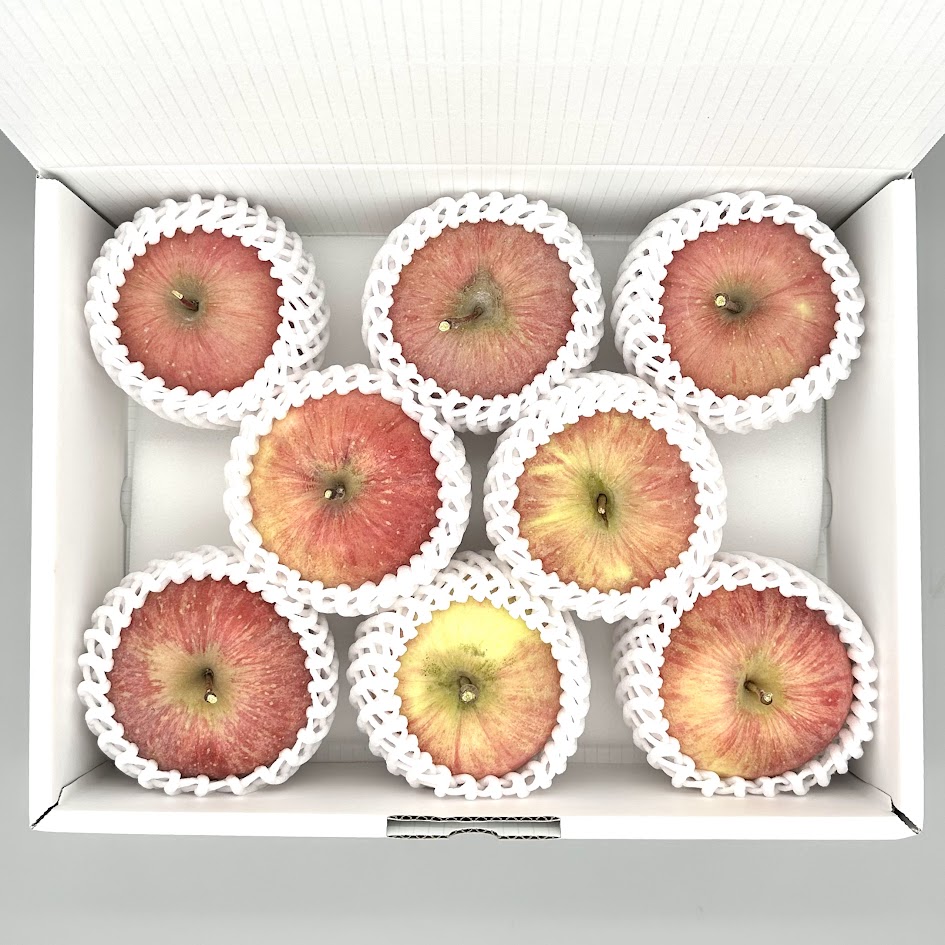 りんご ふじ 中玉 約3kg 7～9個