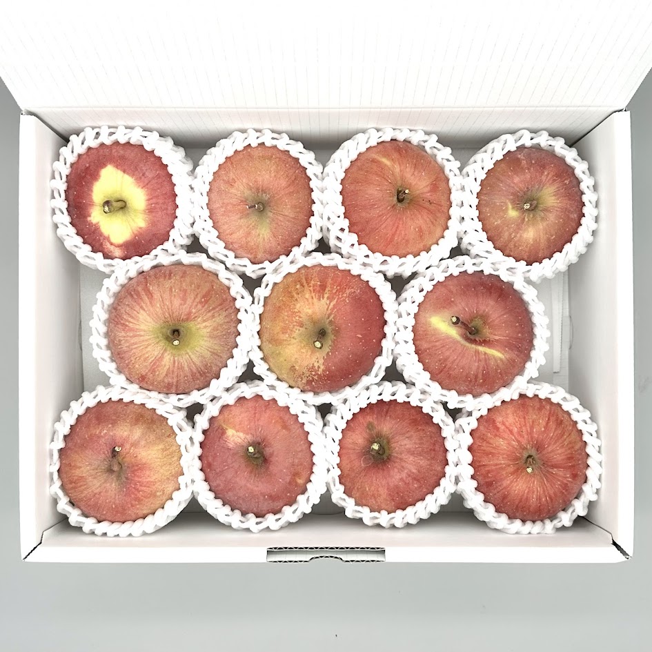 りんご ふじ 小玉 約3kg 9～11個