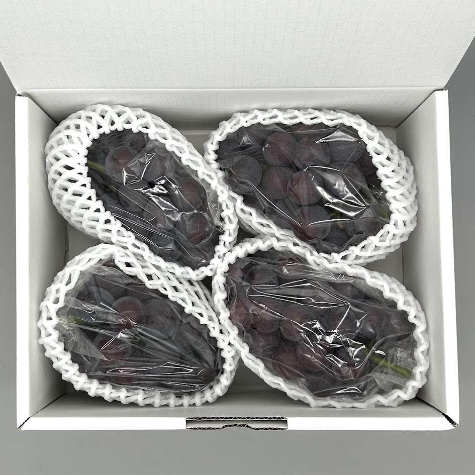 ピオーネ 約2kg 3～5房
