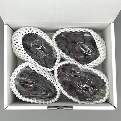 BP1 ピオーネ 約2kg 3～5房