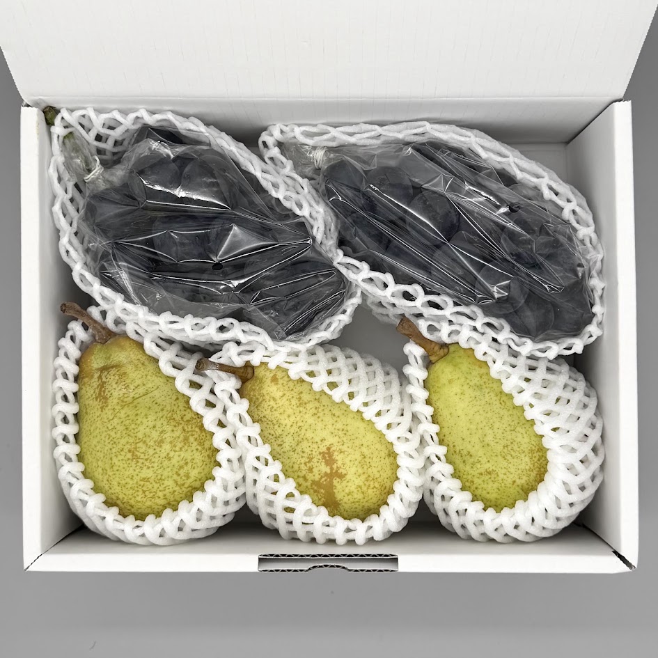 【期間限定・9月下旬発送】AN1 オーロラ・ナガノパープル 約2kg