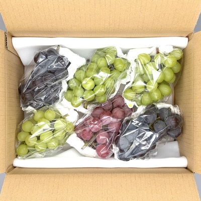ぶどう 家庭用 詰め合わせ 約2kg