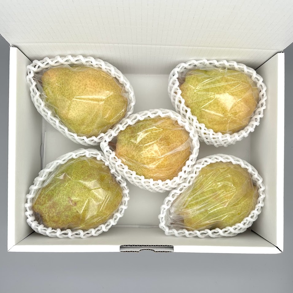 ユシ実入り　山原ユシ　四割り　超貴重 YS1 シルバーベル 大玉 約3kg 4～6個 | 岩原果樹園