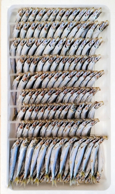 うるめいわし丸干し12尾&times;10連