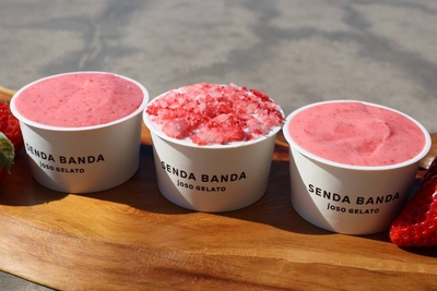 【社内限定販売】SENDABANDA TODA農房の苺ジェラート 6個セット