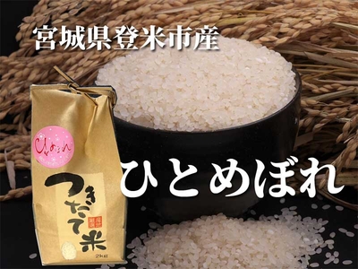 宮城県登米産 ひとめぼれ  3kg～