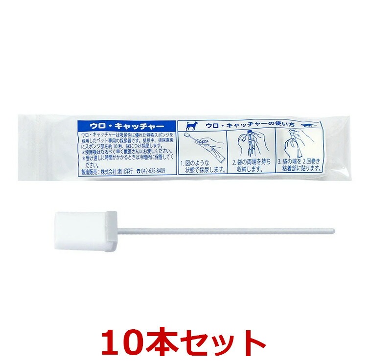 urocatcher_10_1719720836048.jpg