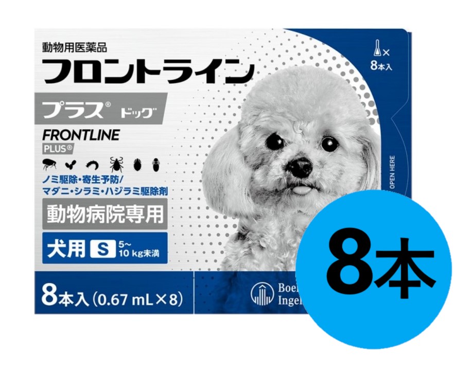 10％OFFクーポン】フロントラインプラス 犬用 L (20〜40kg) 6本