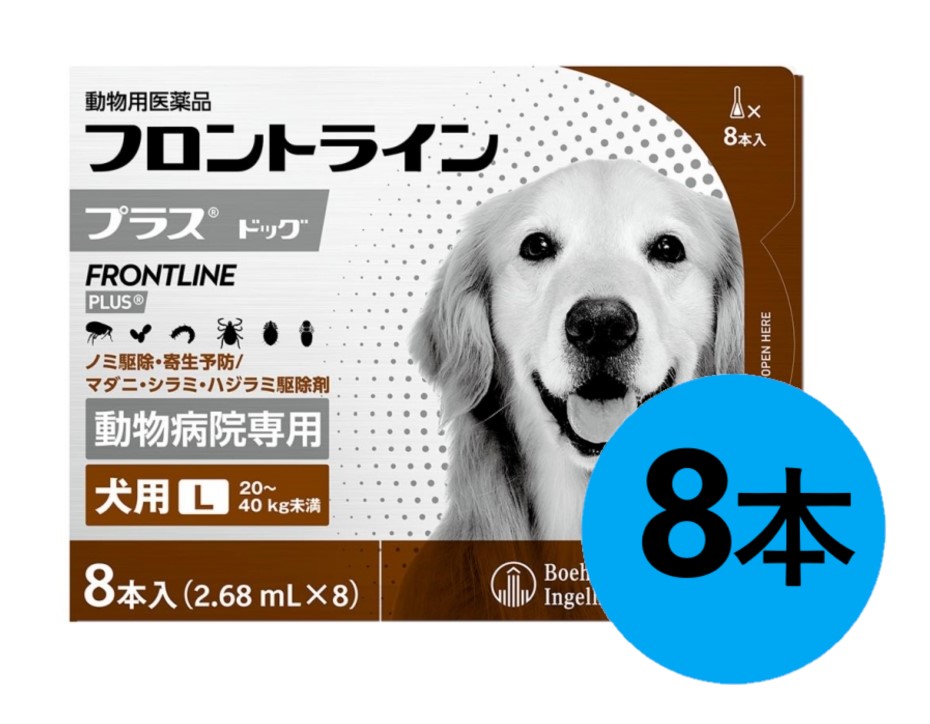 frontline8-l-