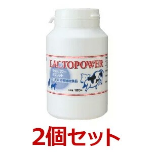 【２個セット】【ラクトパワー (120錠) ×２個】【ボトル】【口腔】【プランシュール・ジャパン】(ラクトパワー120錠)【P直】