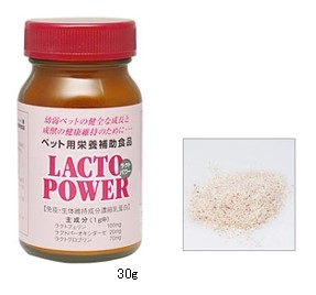 【当日出荷】『ラクトパワー 粉末 (パウダー) 30g×１個』【ガラス瓶】【犬・猫・動物用】【口腔】【プランシュールジャパン】(ラクトパワー粉末)
