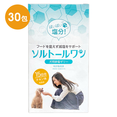 『ソルトールワン (10g×30包入) ×１箱』【賞味期限：2028.03.31】【犬用排塩ゼリー】【日本全薬工業】(発)