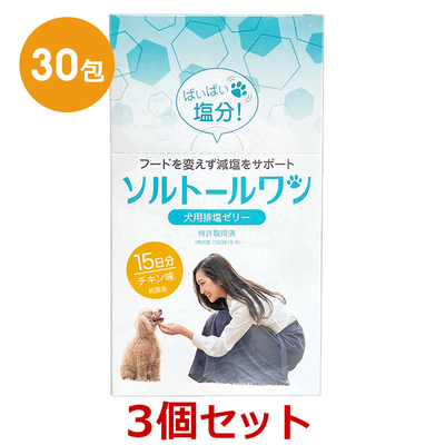 【３箱セット】【ソルトールワン (10g×30包入) ×３箱】【賞味期限：2028.03.31】【犬用排塩ゼリー】【日本全薬工業】(発)