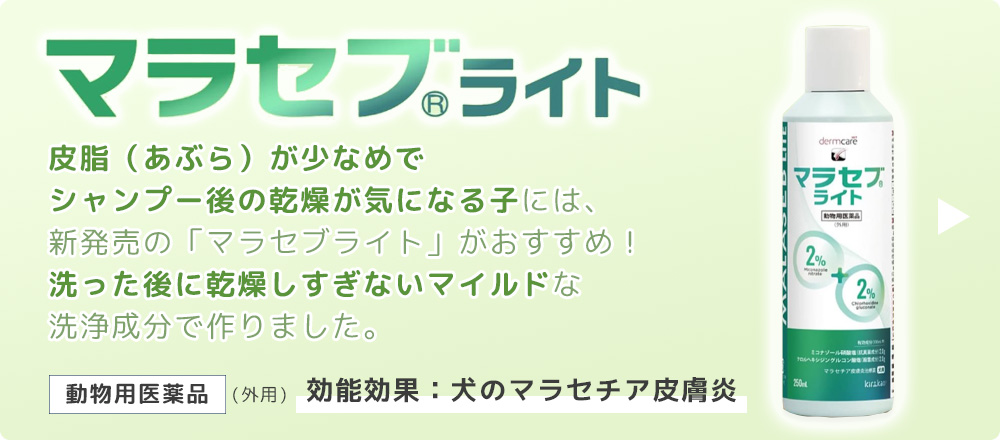 マラセブライト