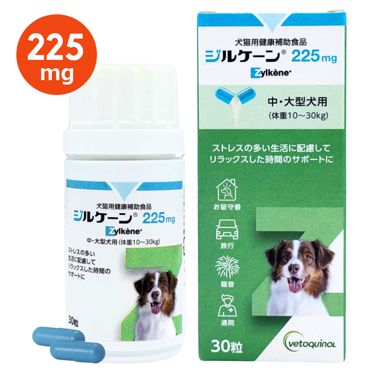 当日出荷】【ジルケーン 225mg (30粒)×1個】【賞味期限：2027.05.14