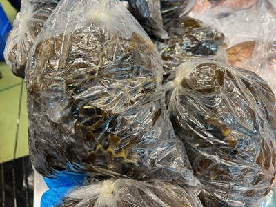 《宮古産》丸めかぶ