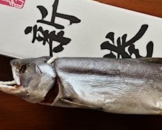 冬ギフト《新巻鮭》
