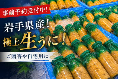 ※予約販売／岩手県産【菊池商店】生うに（150g）／入荷次第発送／