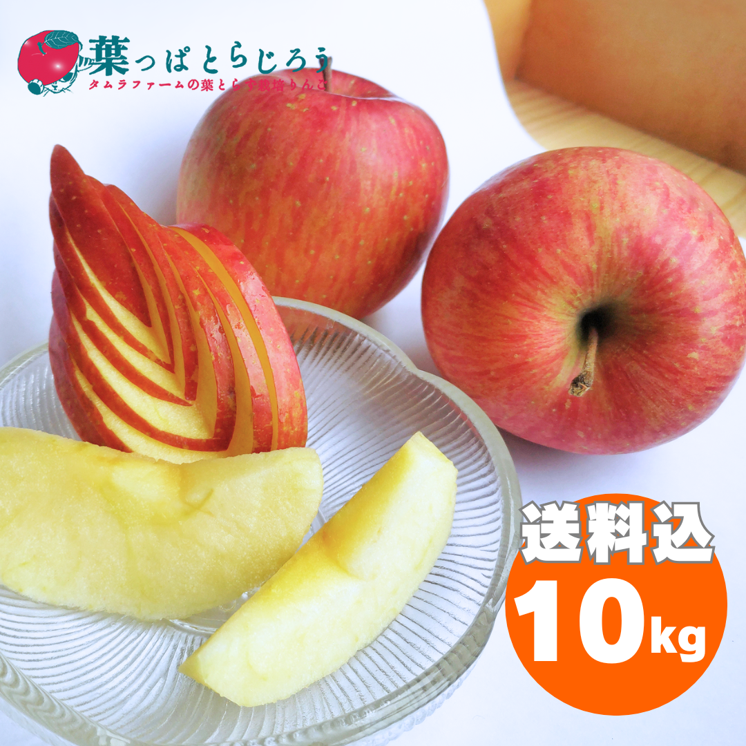 サンふじ葉っぱとらじろうりんご10kg | タムラファームショップ