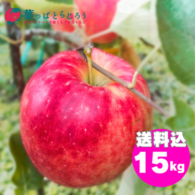奥州ロマン 5kg | タムラファームショップ