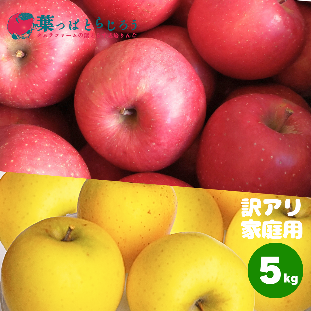 【りんごちっぷ】他の方購入禁止！！ サンふじとシナノゴールド詰合せ 5kg | タムラファームショップ