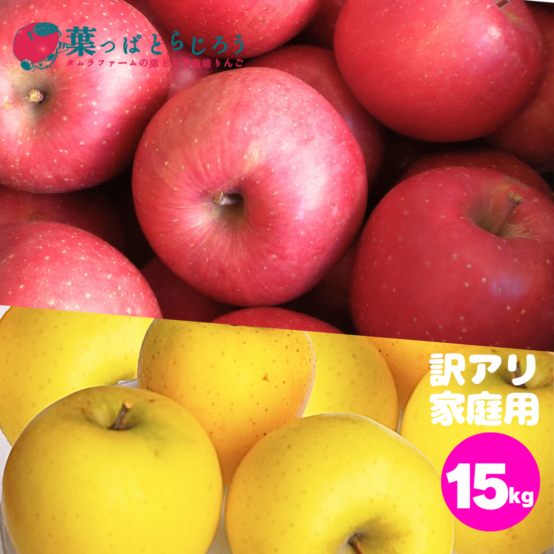 サンふじとシナノゴールド詰合せ葉っぱとらじろうりんご15kg