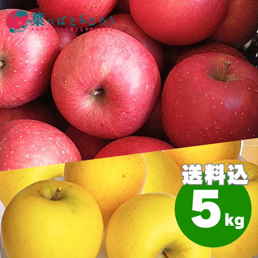 サンふじとシナノゴールド詰合せ 5kg | タムラファームショップ