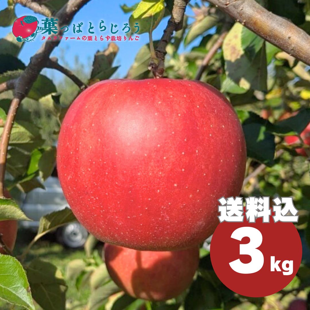 サンジョナゴールドりんご 3kg | タムラファームショップ